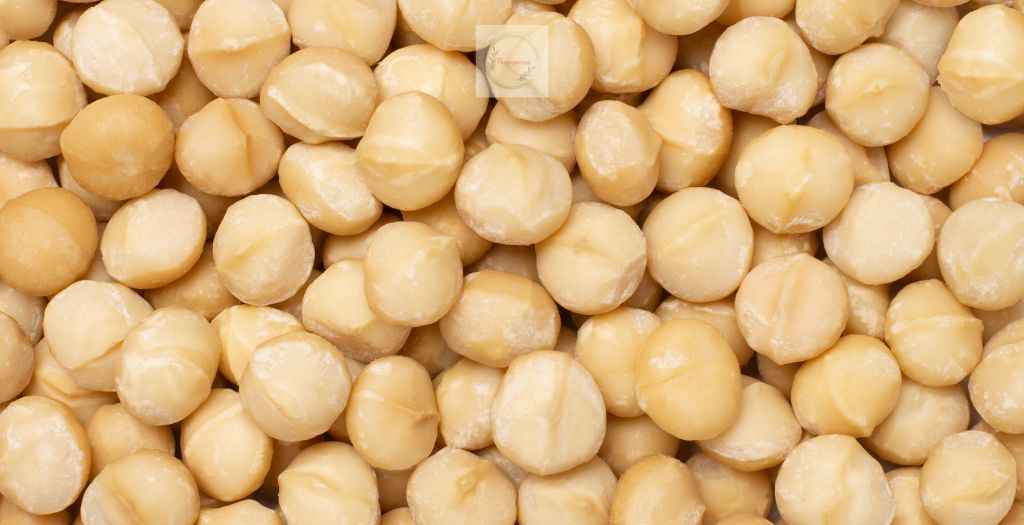 Macadamia nuts are calorie-dense, about 740 kilocalories per 100 grams, and are also rich in healthy fats, especially monounsaturated fats