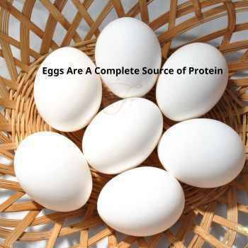 Eggs are a complete source of high protein and contain all nine essential amino acids