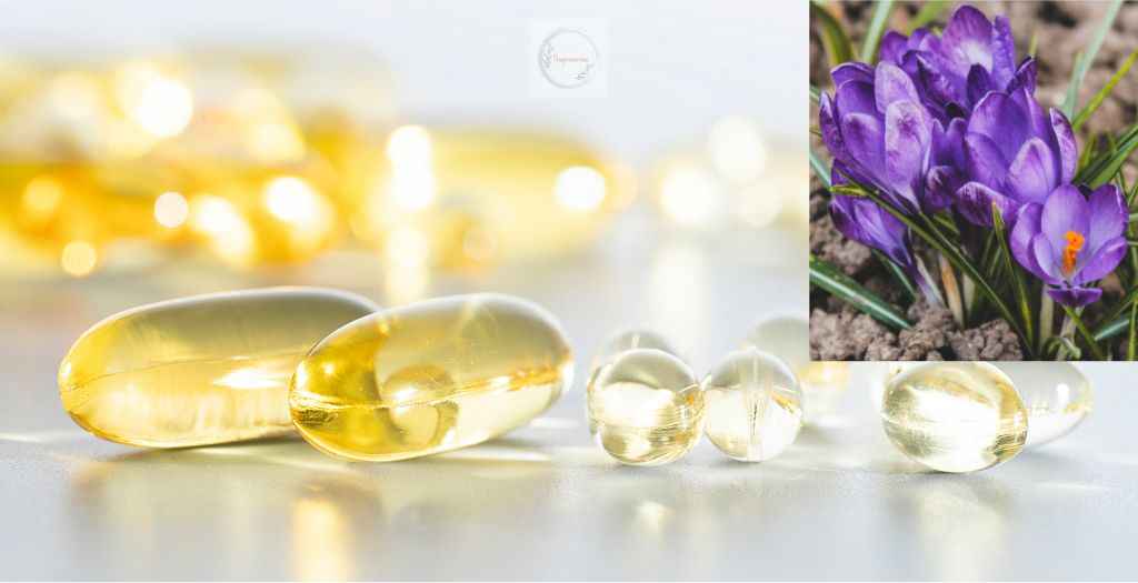 Evening primrose oil is extracted from the flowering plant Onagraceae, which grows as a low, spreading plant only a few centimeters tall